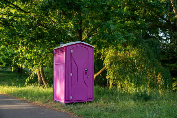 Types of Portable Toilets We Offer in Spring Grove, IL